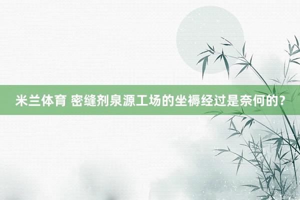 米兰体育 密缝剂泉源工场的坐褥经过是奈何的？