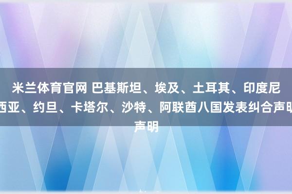 米兰体育官网 巴基斯坦、埃及、土耳其、印度尼西亚、约旦、卡塔尔、沙特、阿联酋八国发表纠合声明