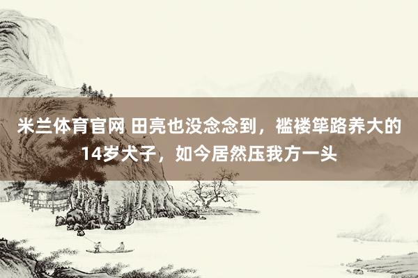 米兰体育官网 田亮也没念念到，褴褛筚路养大的14岁犬子，如今居然压我方一头